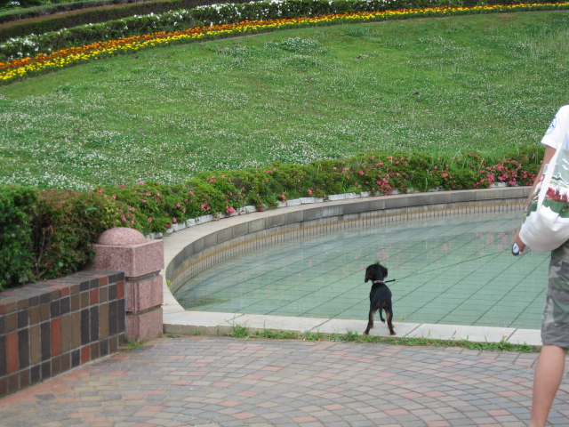 a0101958_2055968.jpg