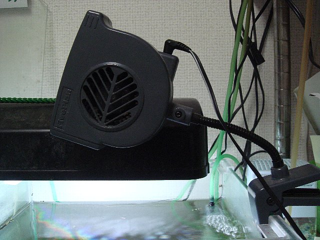 e0107764_2372917.jpg