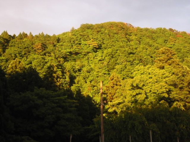 d0094868_7594716.jpg