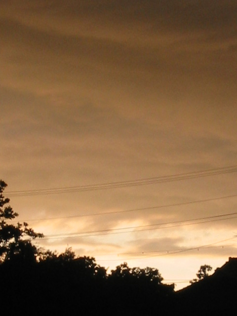 d0094868_759594.jpg