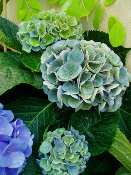 f0052869_18124450.jpg