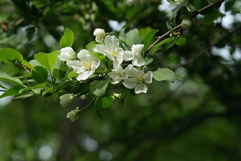 a0016775_224168.jpg