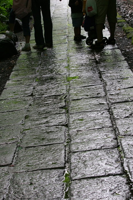 f0115475_22174285.jpg