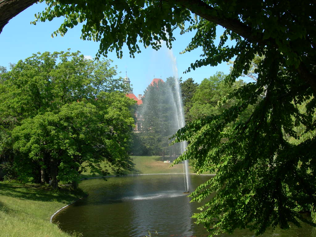 a0080183_8142743.jpg