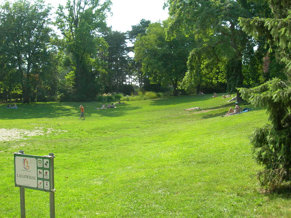 a0080183_8152093.jpg