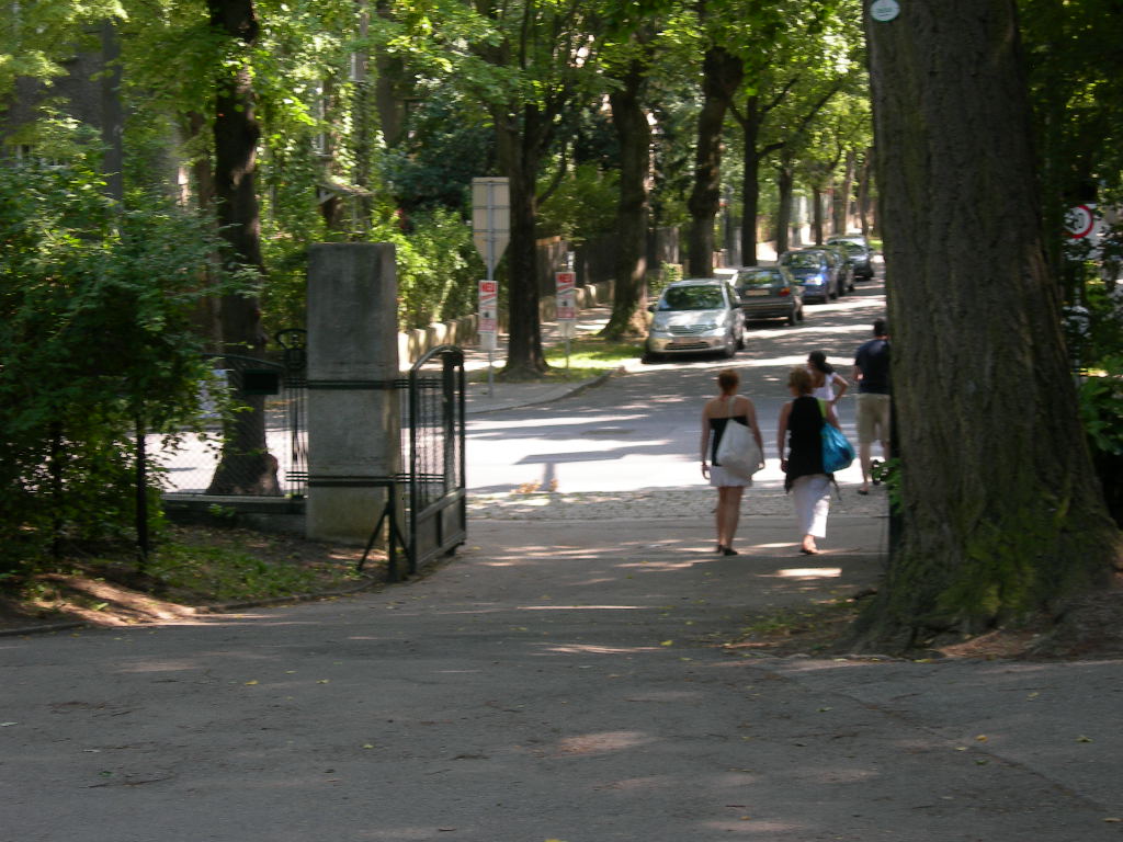a0080183_8162220.jpg