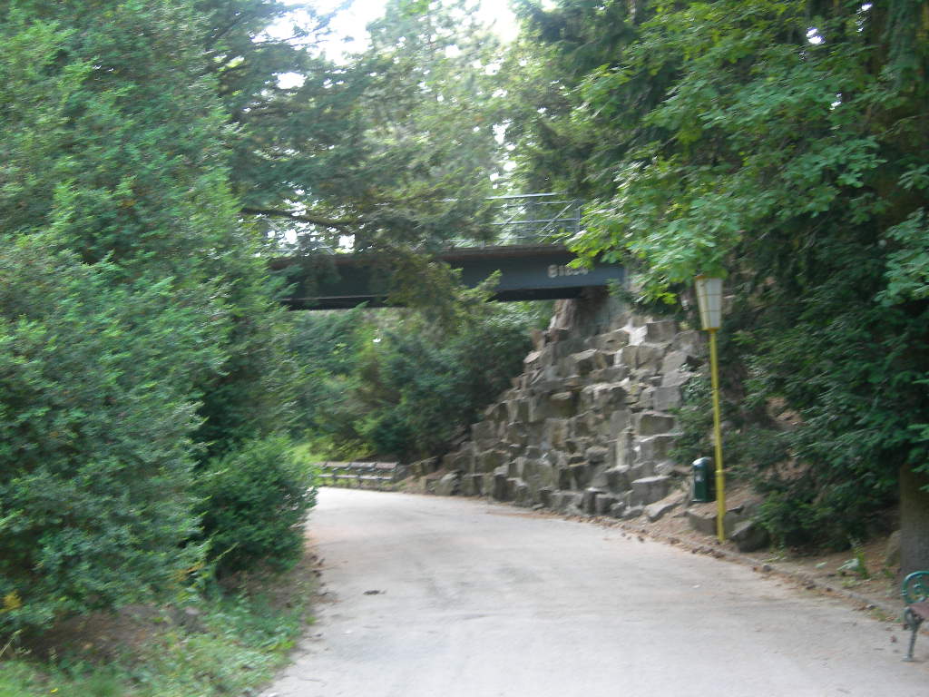 a0080183_8314020.jpg
