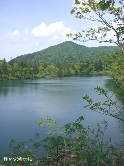 b0000885_891078.jpg