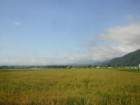 a0034487_20424940.jpg
