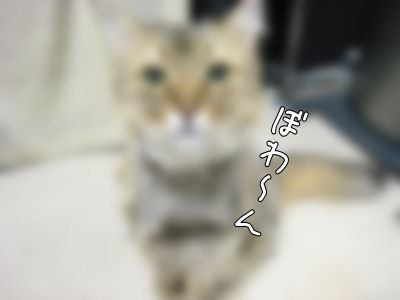 a0045990_1371787.jpg