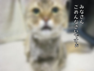 a0045990_1374128.jpg