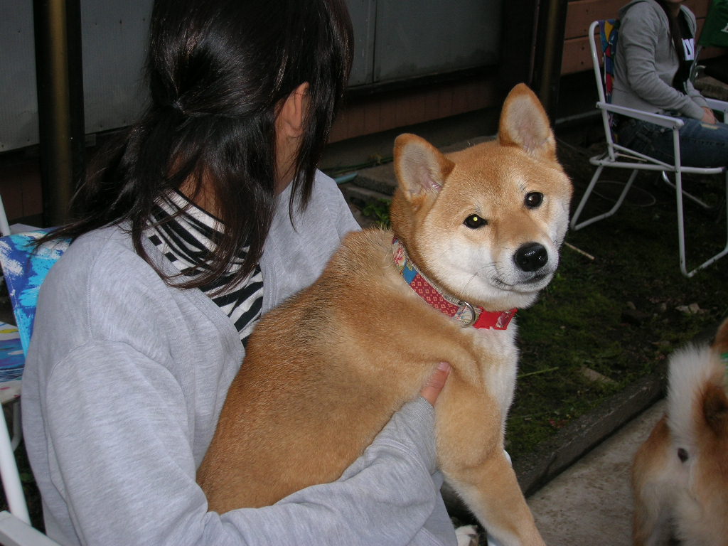 c0123890_2234233.jpg