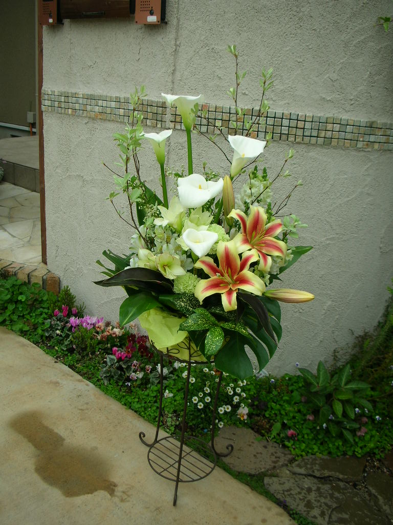 f0038390_15353645.jpg