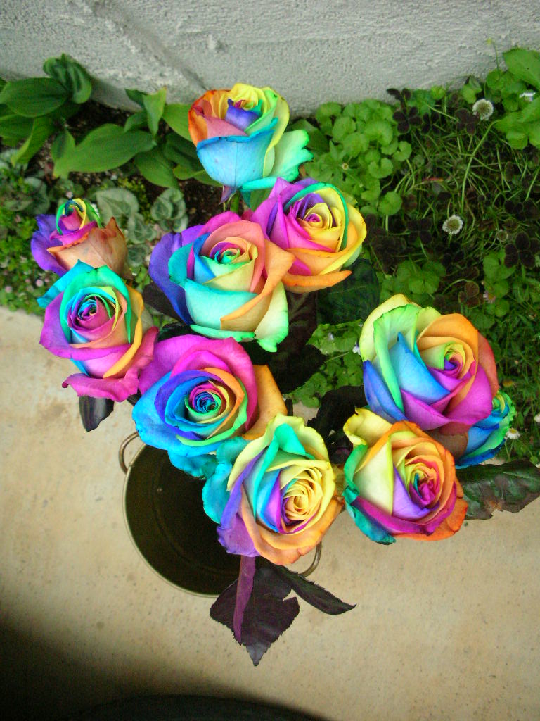 f0038390_15514384.jpg