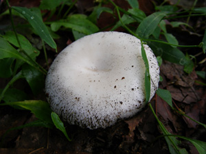 d0045295_23264164.jpg