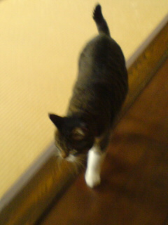 c0035001_22265055.jpg