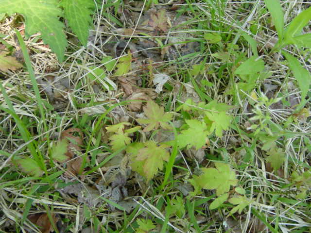 b0083902_813865.jpg