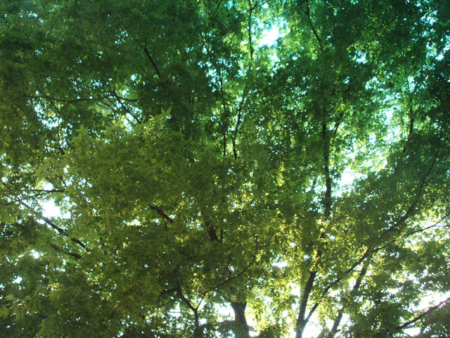 e0117805_16301437.jpg