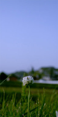 c0011009_23405874.jpg