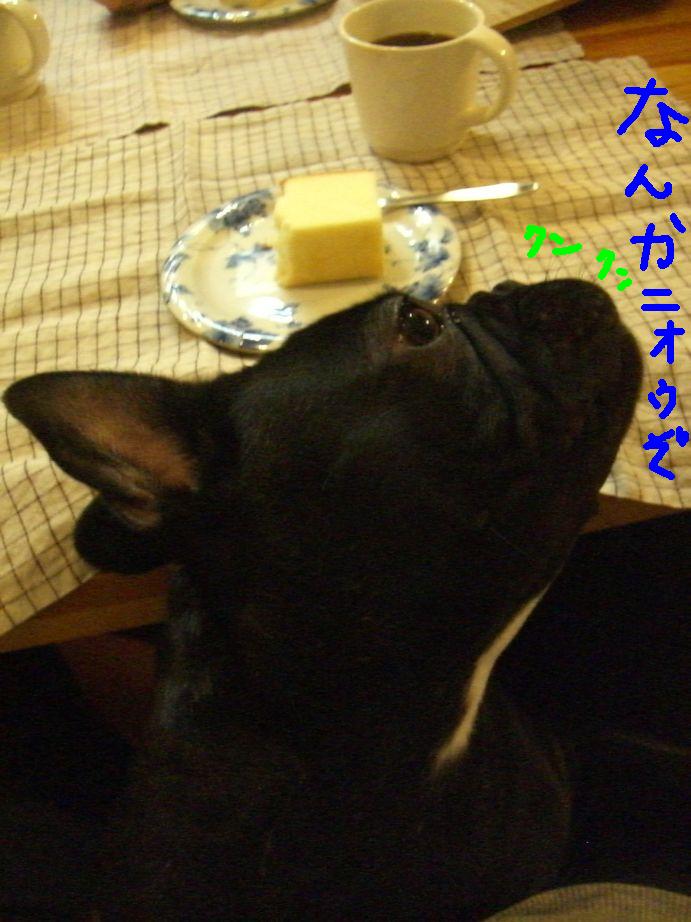 c0113109_018581.jpg