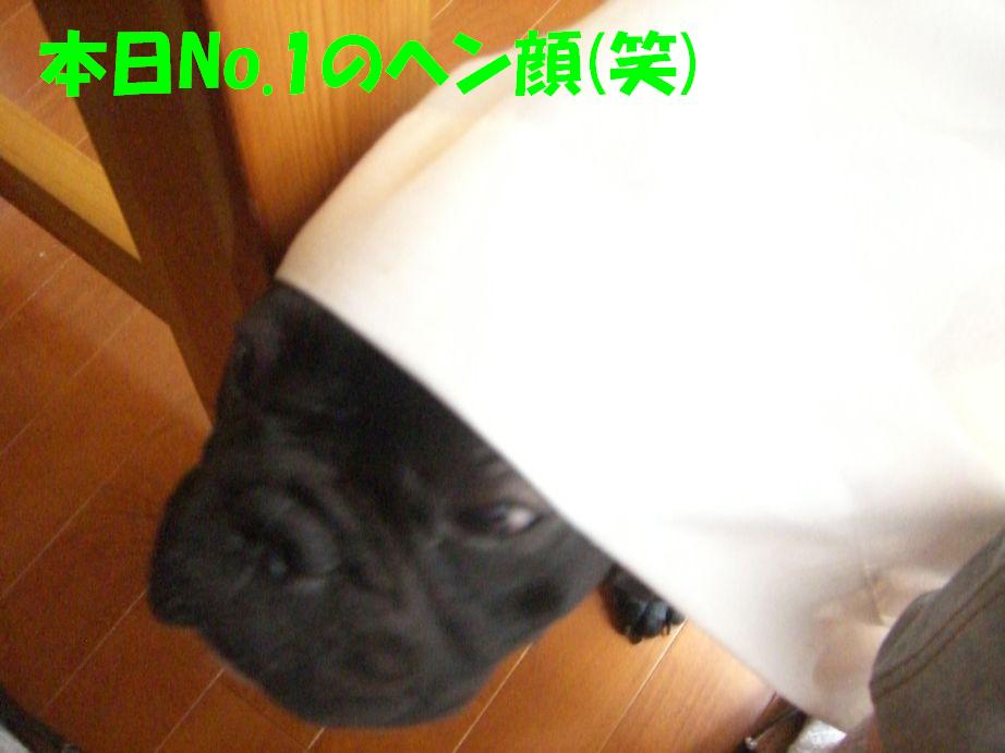 c0113109_0192413.jpg