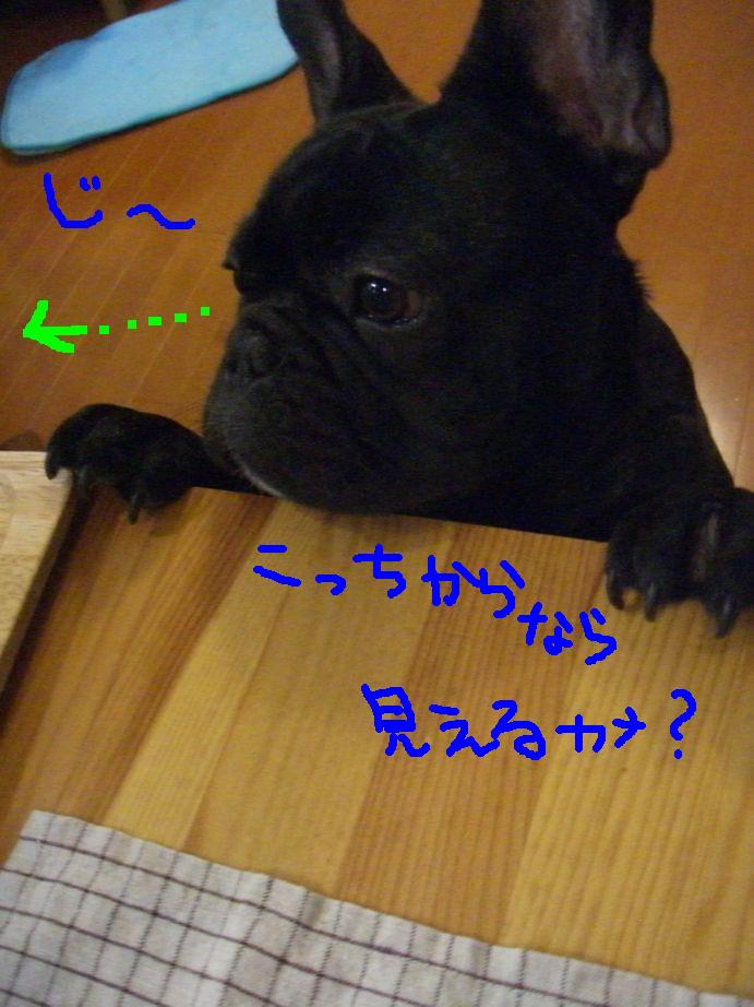 c0113109_01929.jpg