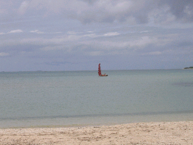 f0127610_23505434.jpg