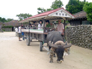 d0068023_23505094.jpg