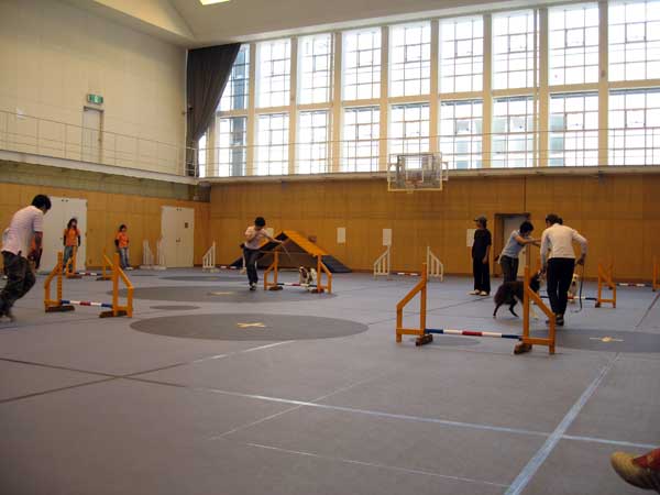 b0066826_14271520.jpg