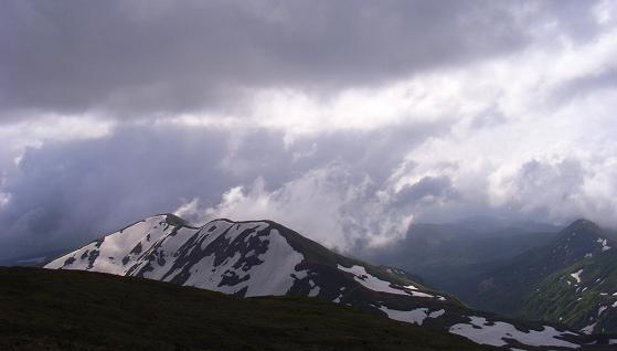 f0118332_72371.jpg