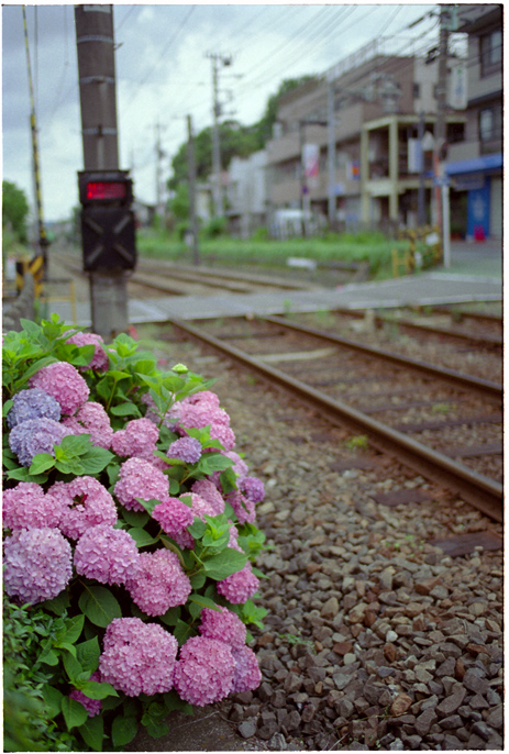 b0063234_22363852.jpg