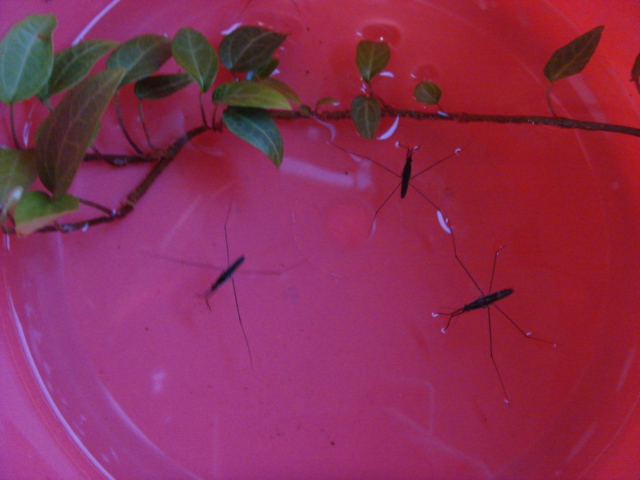 c0100534_20102639.jpg