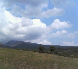 c0118536_16322021.jpg