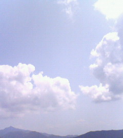 c0118536_16332351.jpg