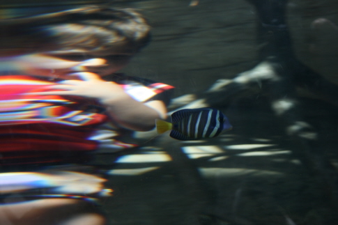 e0104941_113818.jpg