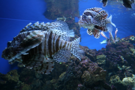 e0104941_152711.jpg