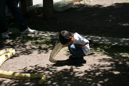 e0104941_1555525.jpg