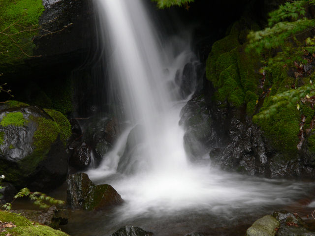 e0055642_02445.jpg