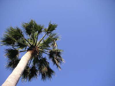 b0001044_0502698.jpg