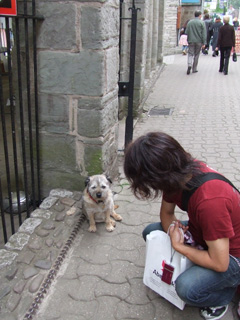 f0076345_23532173.jpg