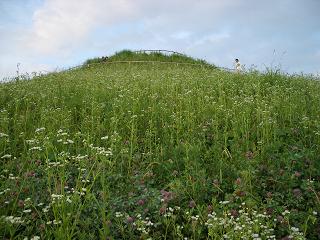 f0107145_11552465.jpg