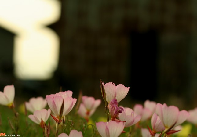 b0075849_20592136.jpg
