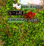f0028549_0552913.jpg