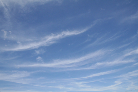 a0024250_3175218.jpg