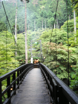 c0069552_23263673.jpg