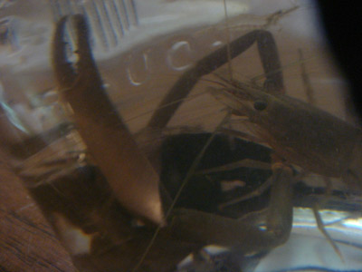 d0096356_028337.jpg