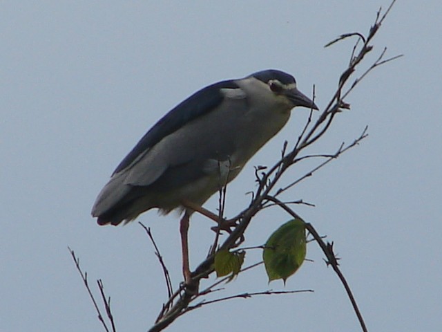 b0061261_173234.jpg