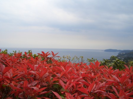 c0071863_0483235.jpg
