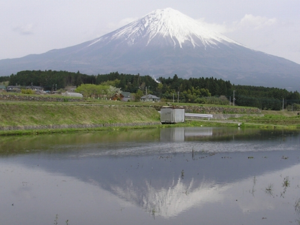 a0009666_6572524.jpg