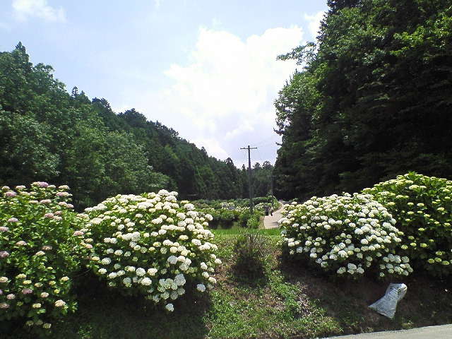 a0093566_17252599.jpg